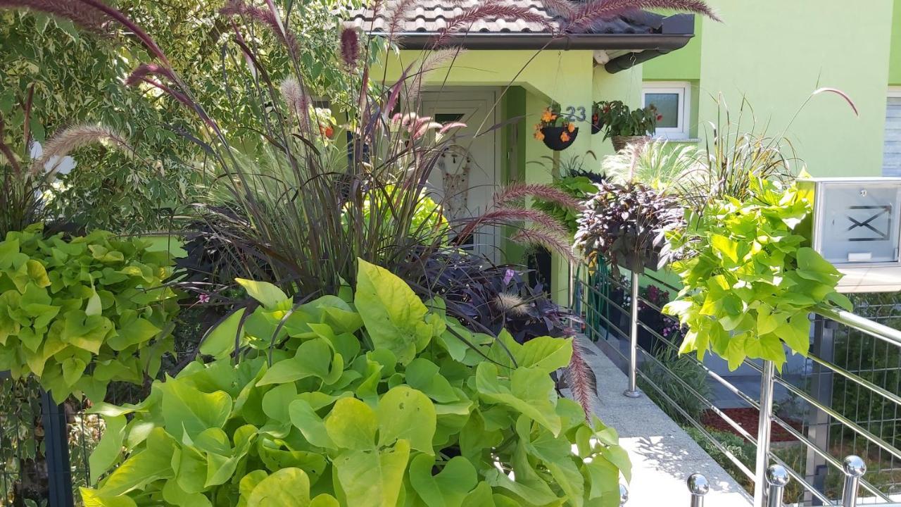 Studio Apartman Grizzly Slunj Exterior photo