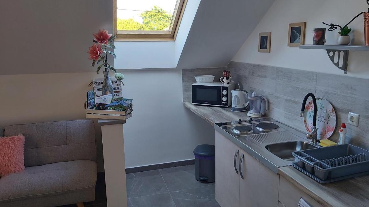 Studio Apartman Grizzly Slunj Exterior photo